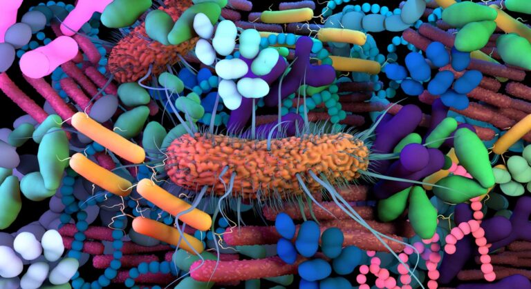 Gut Microbes