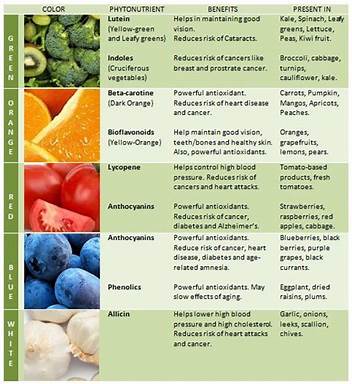 phytonutrients6_a