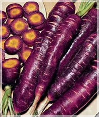 purple carrot